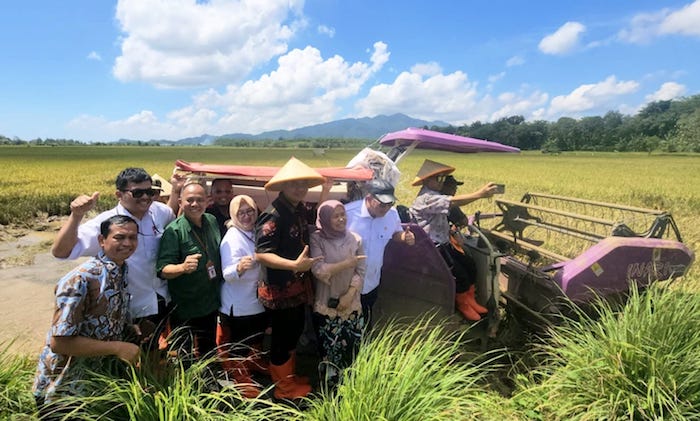 Kolaborasi Pemda Jepara-BRIN-PGN Hasilkan 176 Ton Gabah, Panen Biosalin Jepara Lampaui Target