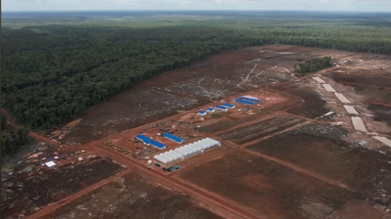 Paradoks Ekologi Politik di Tana Papua: Holocaust Biotic