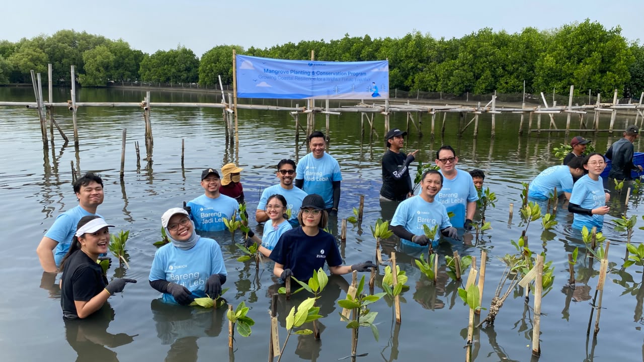 Peringati International Mangrove Day, Zurich Indonesia dan Seasoldier Tanam Ratusan Bibit Mangrove