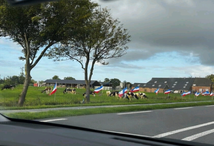 Tanah yang Diperebutkan, Manusia dan Alam yang Diselamatkan (Refleksi Hari Agraria dan Tata Ruang dari Groningen)